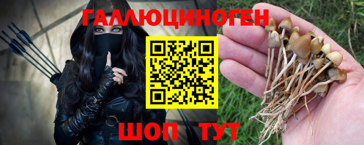 Псилоцибиновые грибы мицелий  Вход с VPN  Печора 